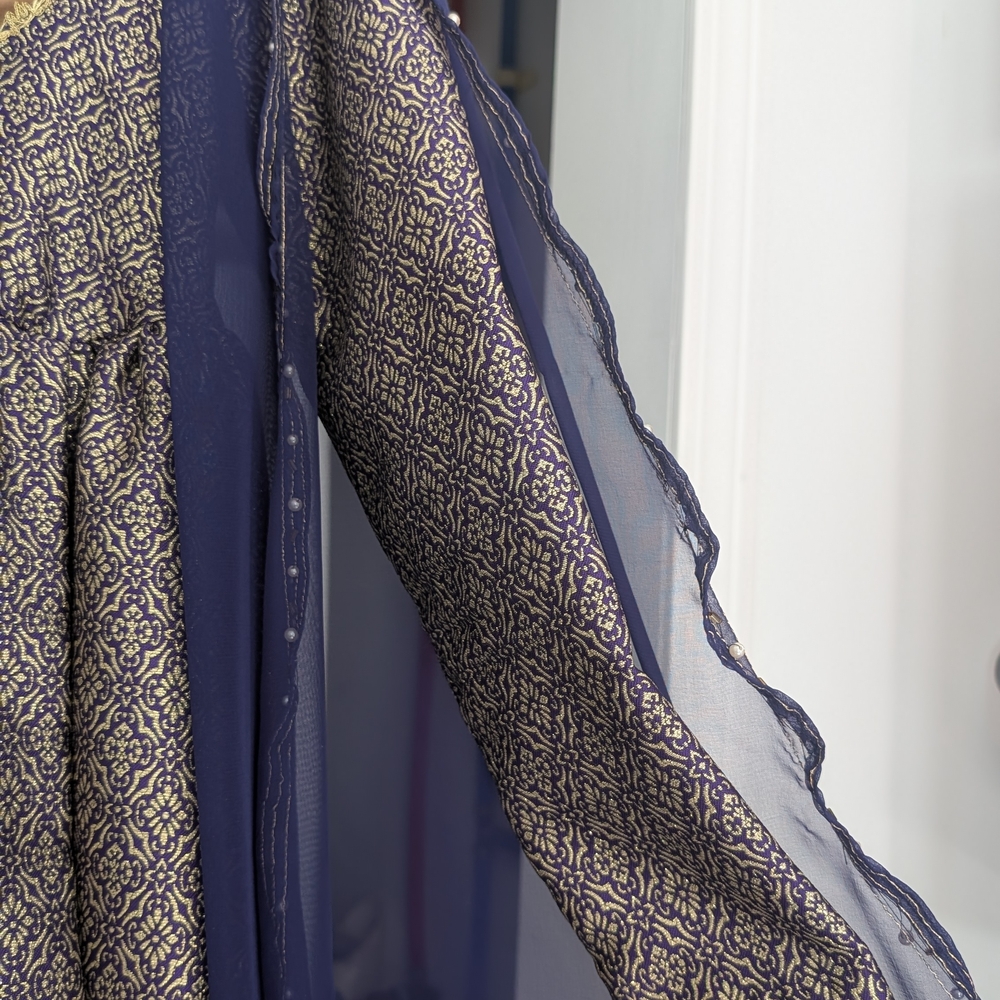 Royal Medieval Renaissance Gown, Velvet Cape, Gloves & Satchel, PRICE FIRM - Picture 4 of 16